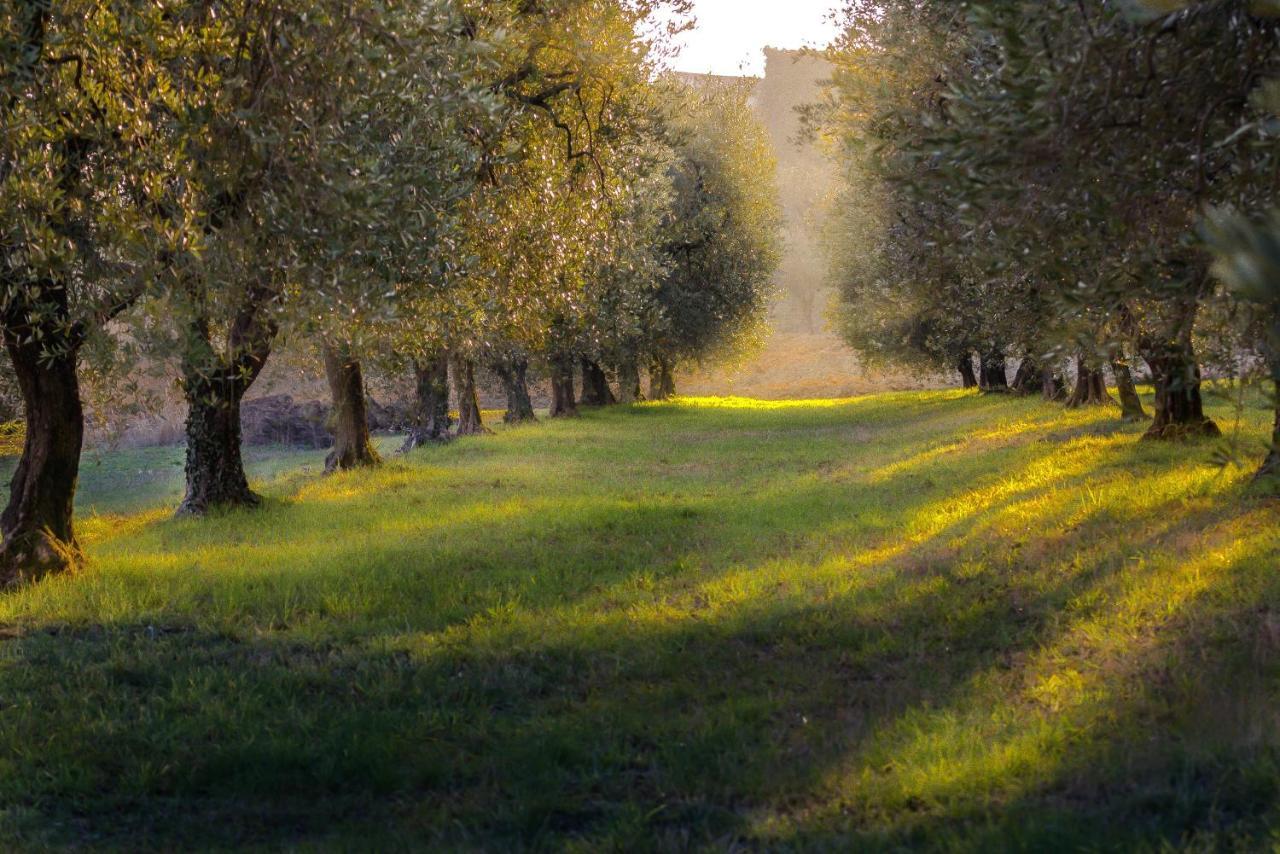 La Gemma Sul Lago Manerba del Garda Zewnętrze zdjęcie